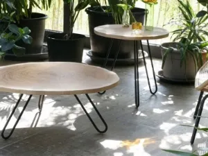 Tavolino con piano in tranciato di tronco Porcino di Miniforms